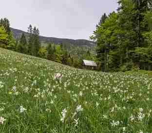 Bhaderwah Tour Package