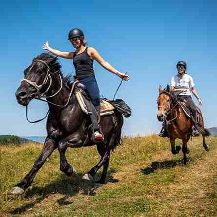 Horse Riding In Patnitop